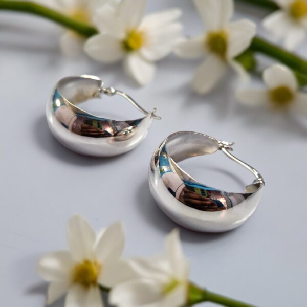 925 silver earrings