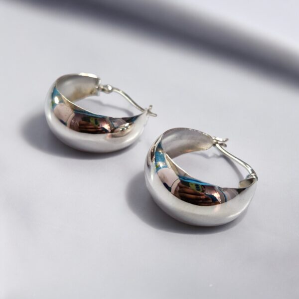 925 silver earrings