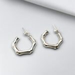 925 silver earrings