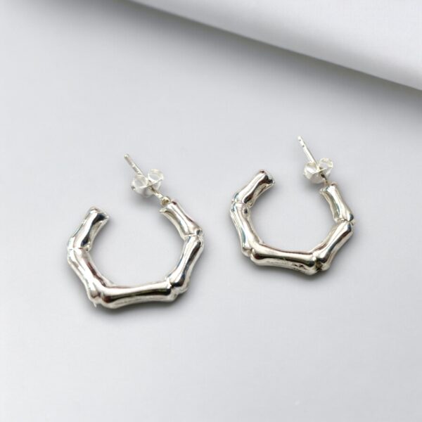 925 silver earrings