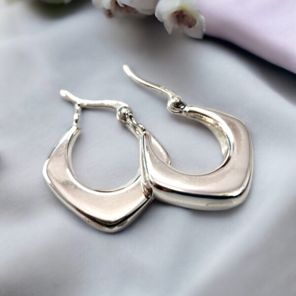 925 silver earrings