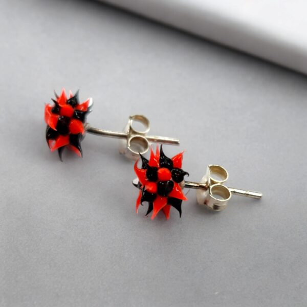925 silver earrings