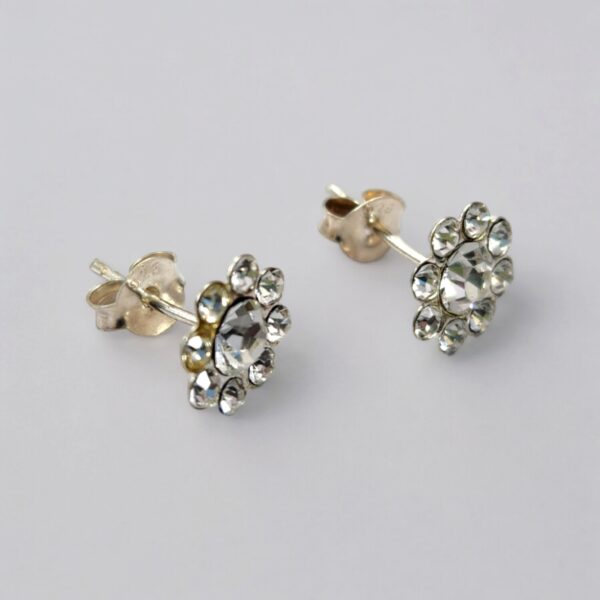 925 silver earrings