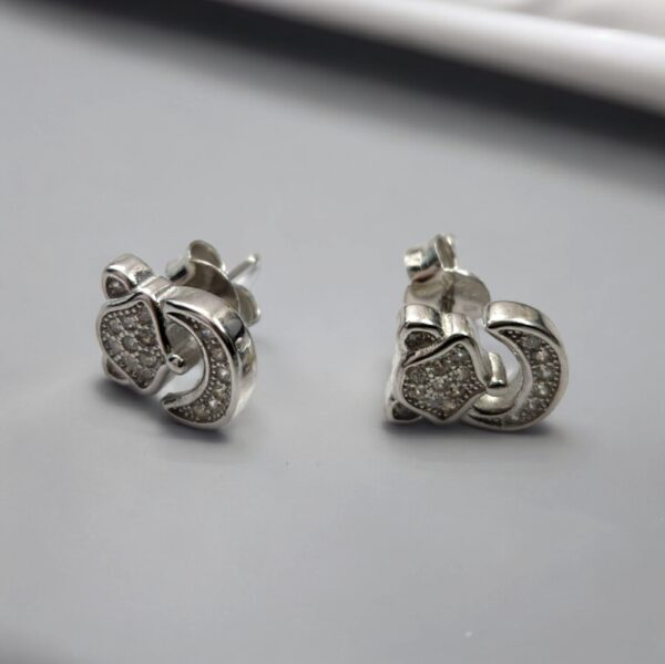 925 sterling silver earring
